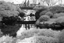 Japanese Garden #4